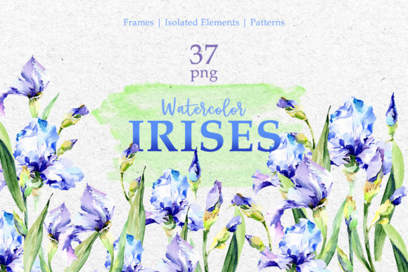 Blue Watercolor Irises PNG Set: What to Know Before You Buy