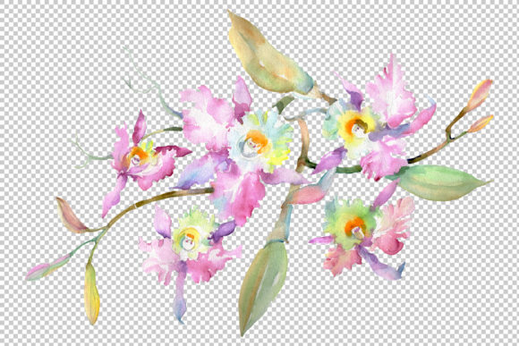 Branch of Pink Orchids Watercolor: A Versatile Design Resource for Creative Projects