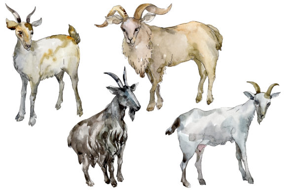 Bring Rustic Charm to Your Projects with an Agriculture Goat Watercolor Collection