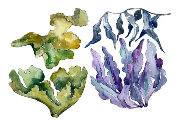 Bringing Ocean Elegance to Design: The Coral Sarcophiton Watercolor Collection