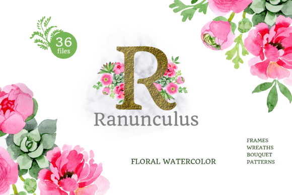 Buttercup Flowers Pink Watercolor Png