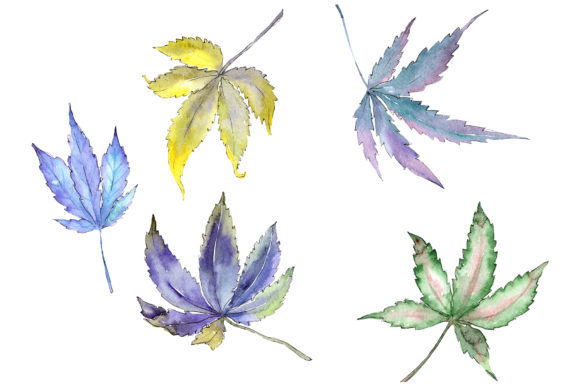 Cannabis Plant Watercolor