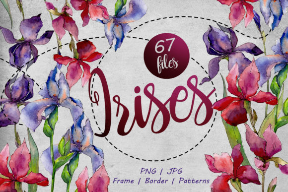 Colorful Irises Watercolor Set