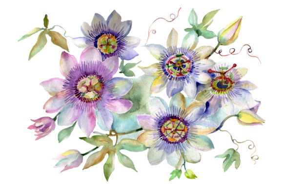 Discover the Charm of Bouquet of Spring Hello Watercolor for Your Creative Projects