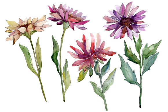 Divine Sweetness Watercolor: Elevating Visual Storytelling in the Creator Economy