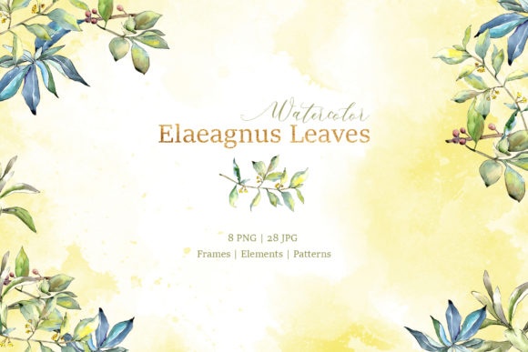 Elaeagnus Leaves Watercolor for Creative Projects