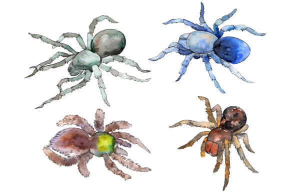 Elevate Your Design Work with Tarantula Exotic Watercolor: A New Standard in Handcrafted Digital Assets