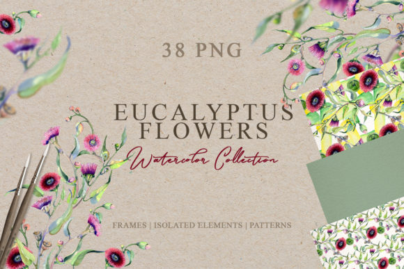 Eucalyptus Flowers Watercolor: A Practical Review of the 38-Piece Clipart Set