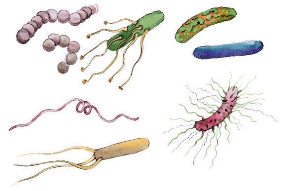 Exploring the Creative Potential of Microbes 1 Watercolor Png