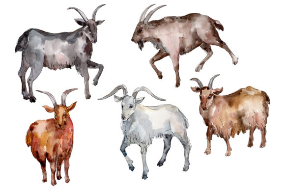 Farm Animals Goat Watercolor: Hand-Painted Design Assets for Creative Projects