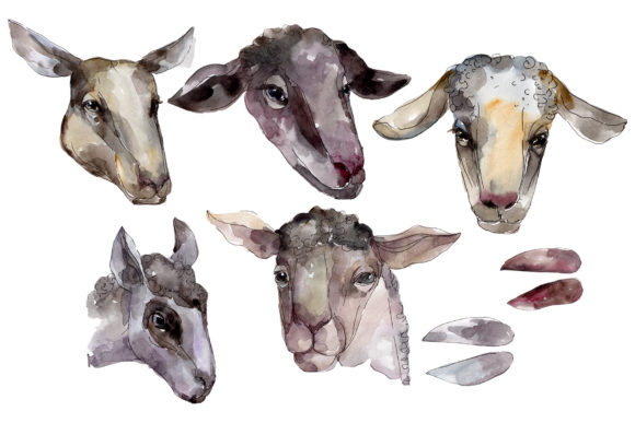 Farm Animals Ram Head Watercolor: A Hand-Painted Asset Pack for Creative Projects