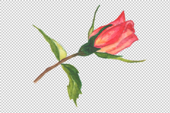 Two Red Roses Watercolor Set: A Versatile Digital Resource for Creatives