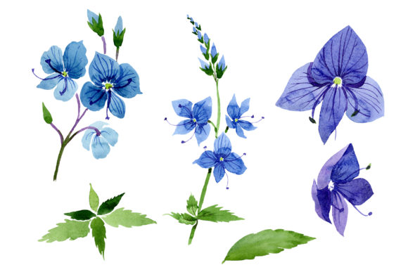 Veronica Flower Blue Watercolor: A Complete Guide to Creative Digital Assets for DIY Projects