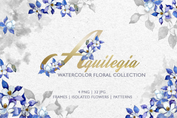 Watercolor Blue Aquilegia: A Practical Asset for Creative Workflows