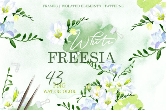 White Freesia Watercolor Clipart Collection